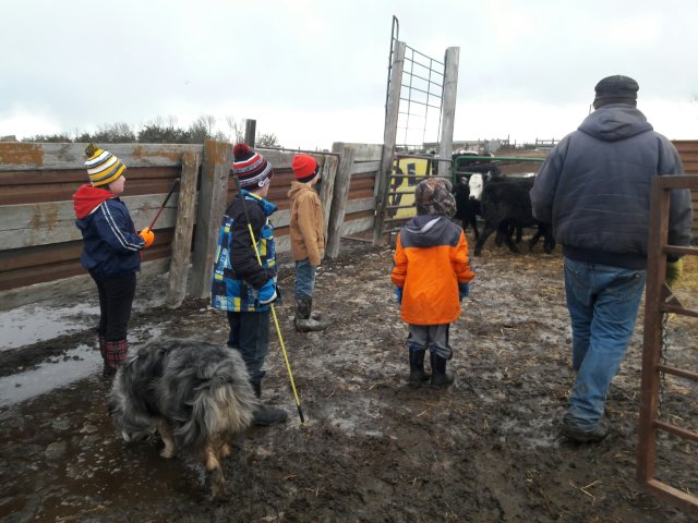 Sorting The kids make a sorting plan